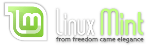 linux mint 13 maya bug sudo dpkg reconfigure resolvconf